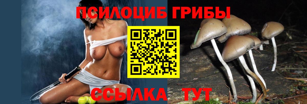 Галлюциногенные грибы MAGIC MUSHROOMS Ростов Великий